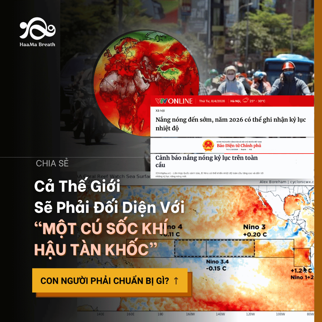 Nắng Nóng Kỷ Lục: Cả thế giới sẽ phải đối diện với “Một Cú Sốc Khí Hậu Tàn Khốc”. Con người phải chuẩn bị gì? 