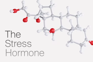 hormone stress cortisol